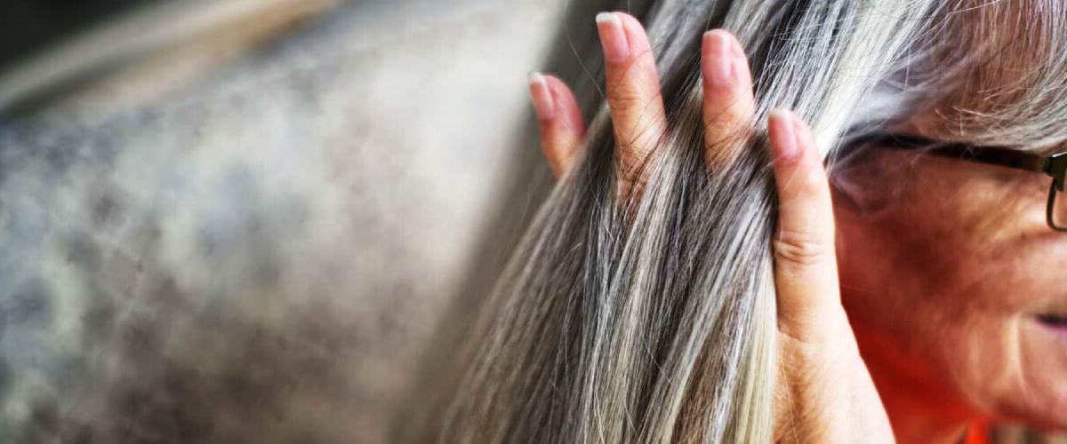 the best oils for maintaining of gray hair